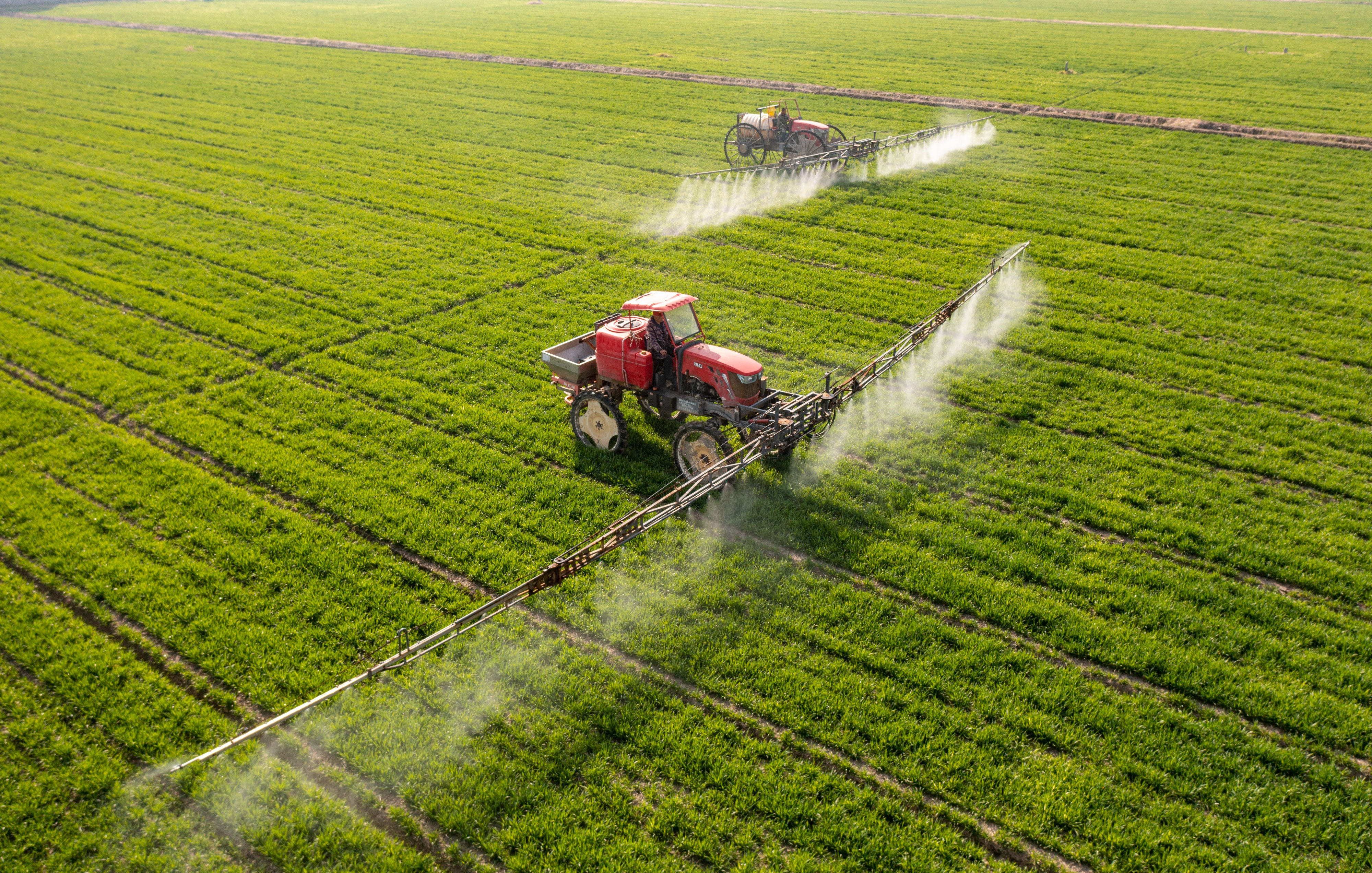 新华全媒丨打好夏粮丰收仗我国全力以赴保障粮食生产