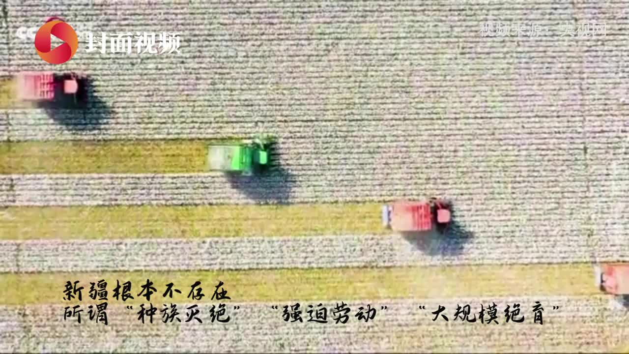 小清话辟谣｜沙尘暴源自中国污染韩国？成都天府新区恢复原来限购政策？听听小清怎么说