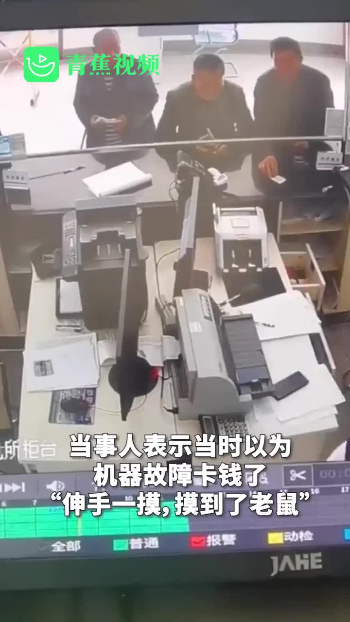 验钞机里卡了只老鼠 女柜员一摸当场吓得尖叫跑开