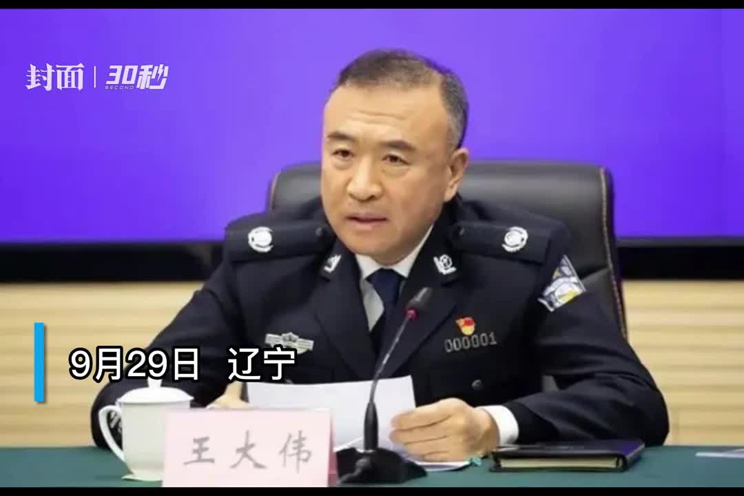 30秒|搞假结婚 辽宁省公安厅原厅长王大伟被“双开”
