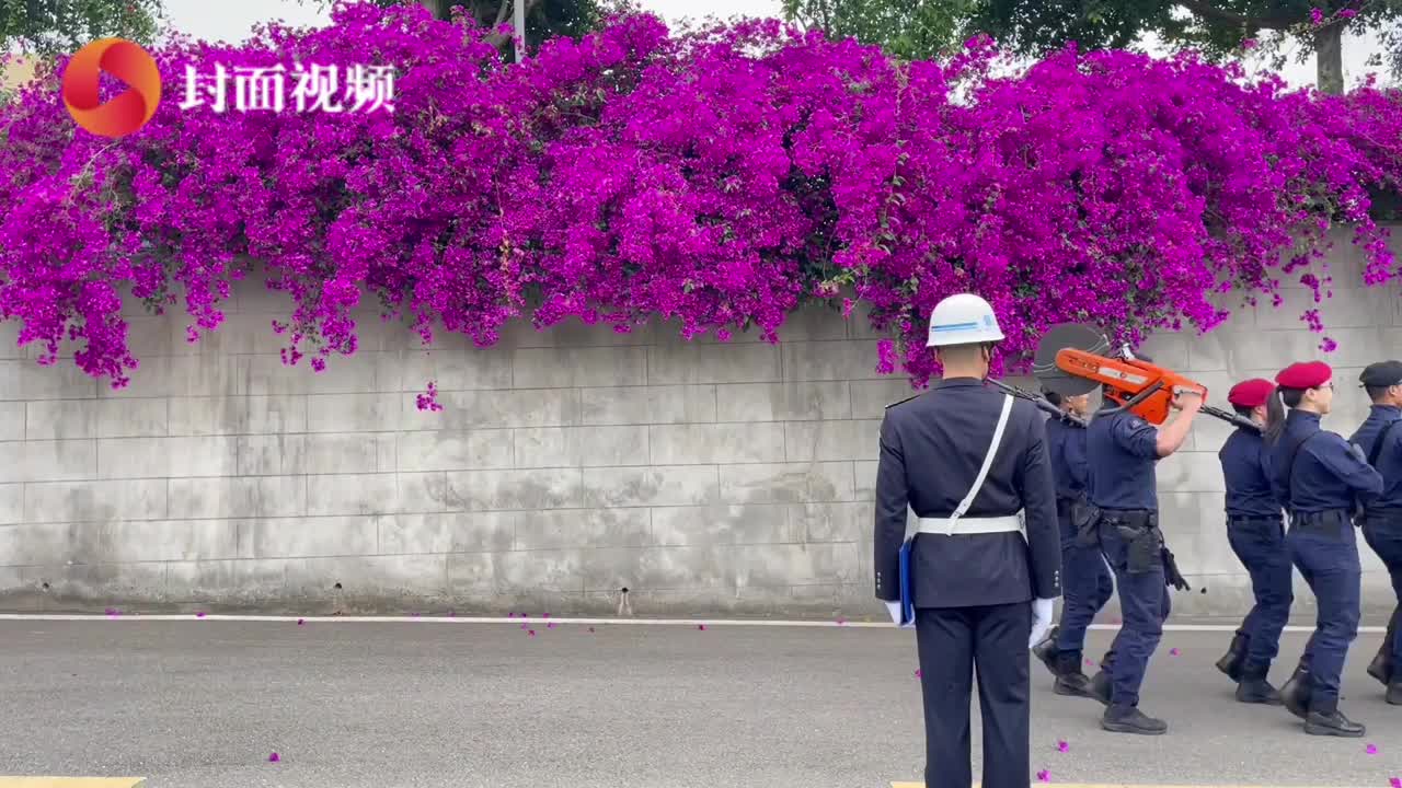 花又开好了！去年登上热搜的成都特警营区花墙上新啦