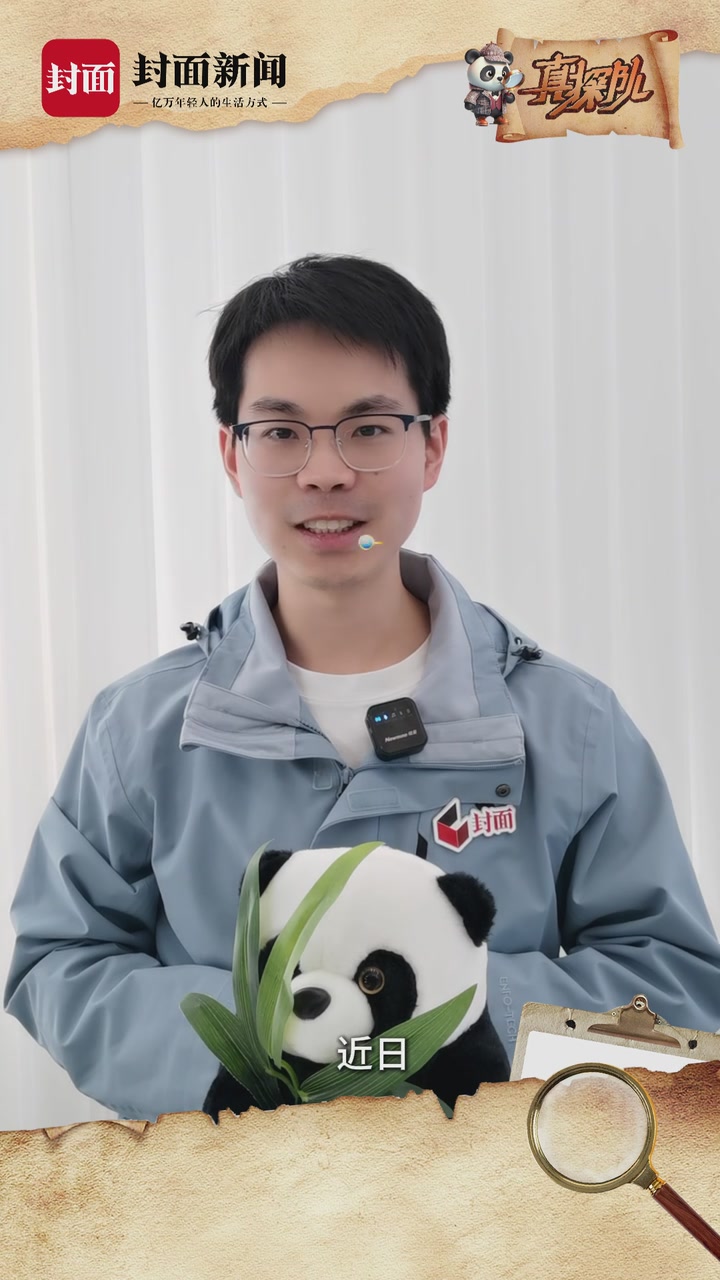 大熊猫七仔耳朵转动像雷达？AI生成！丨真探队
