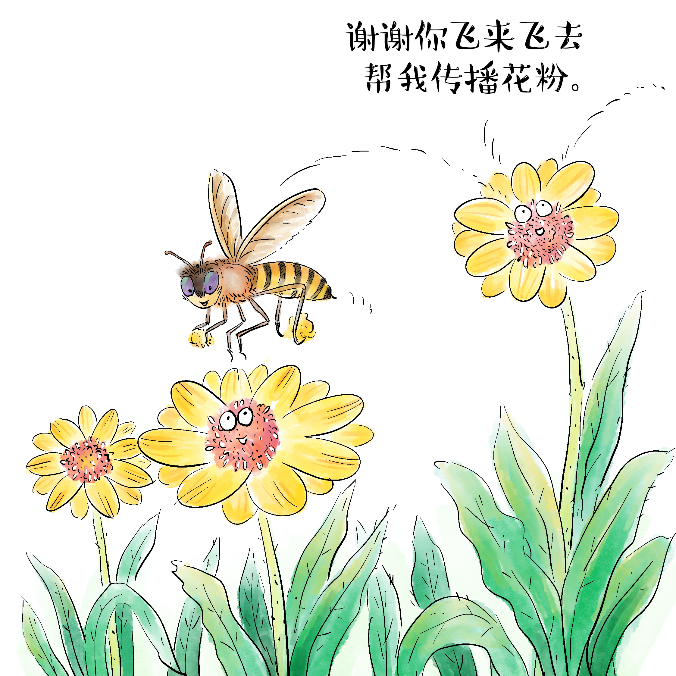 知识窗丨花儿为什么五颜六色？