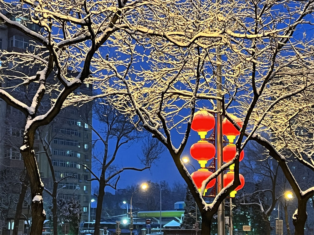 大雪纷飞银装素裹北京春雪美如画