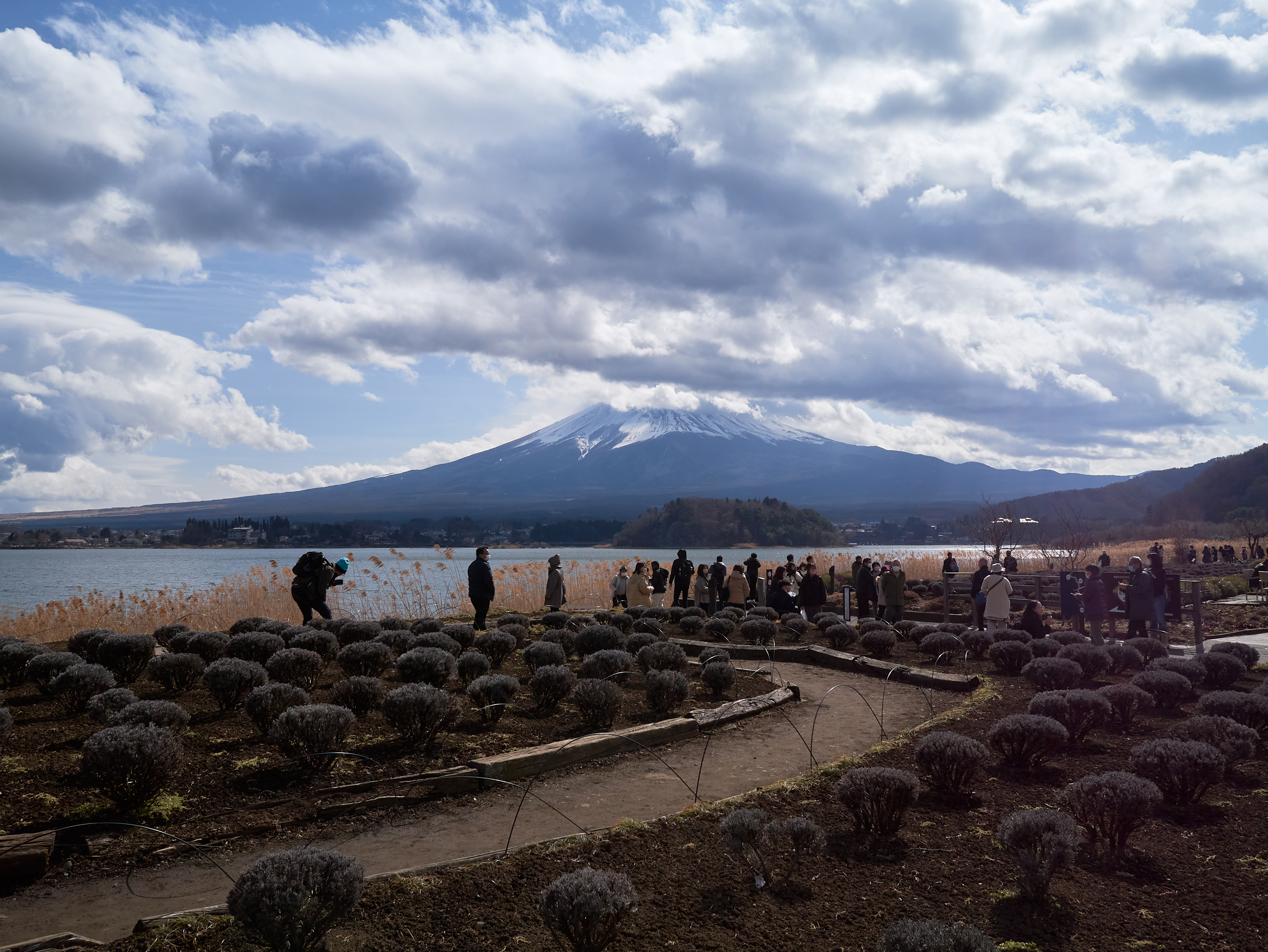 富士山顶部图片