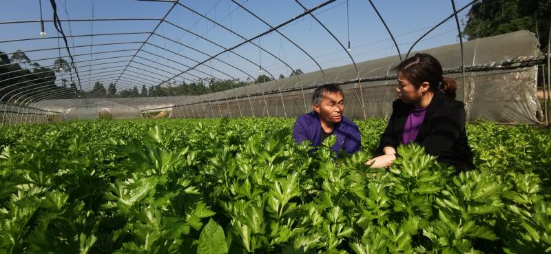 化肥农药减量 重庆铜梁让生态种植增质