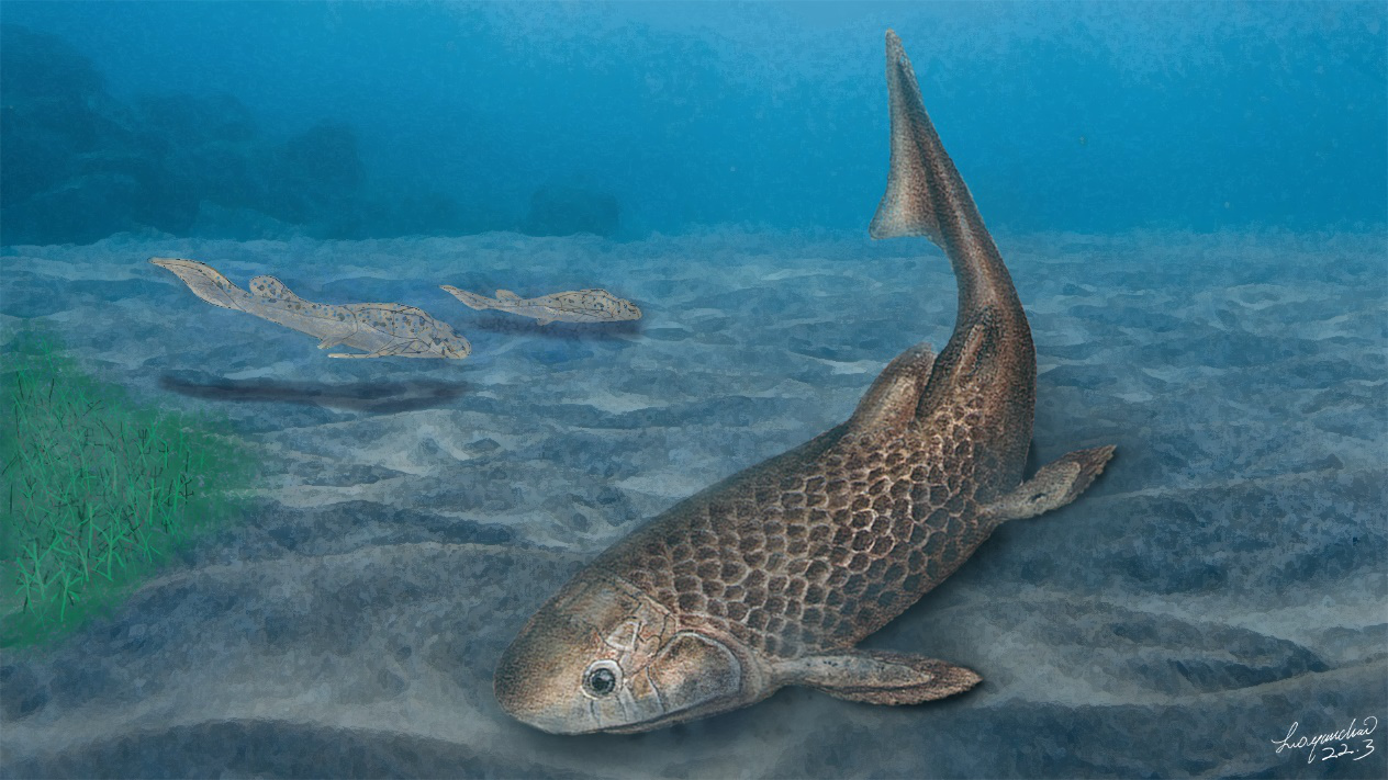 远古发现39亿年前这种鱼有特别的吃饭方式