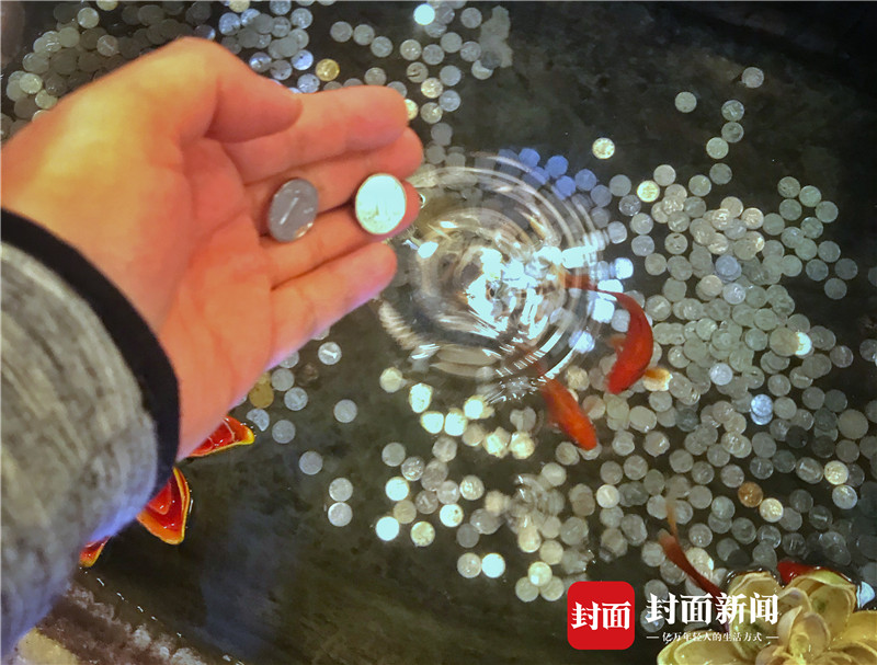 囧!成都一饭店装饰水缸被食客抛满祈福硬币