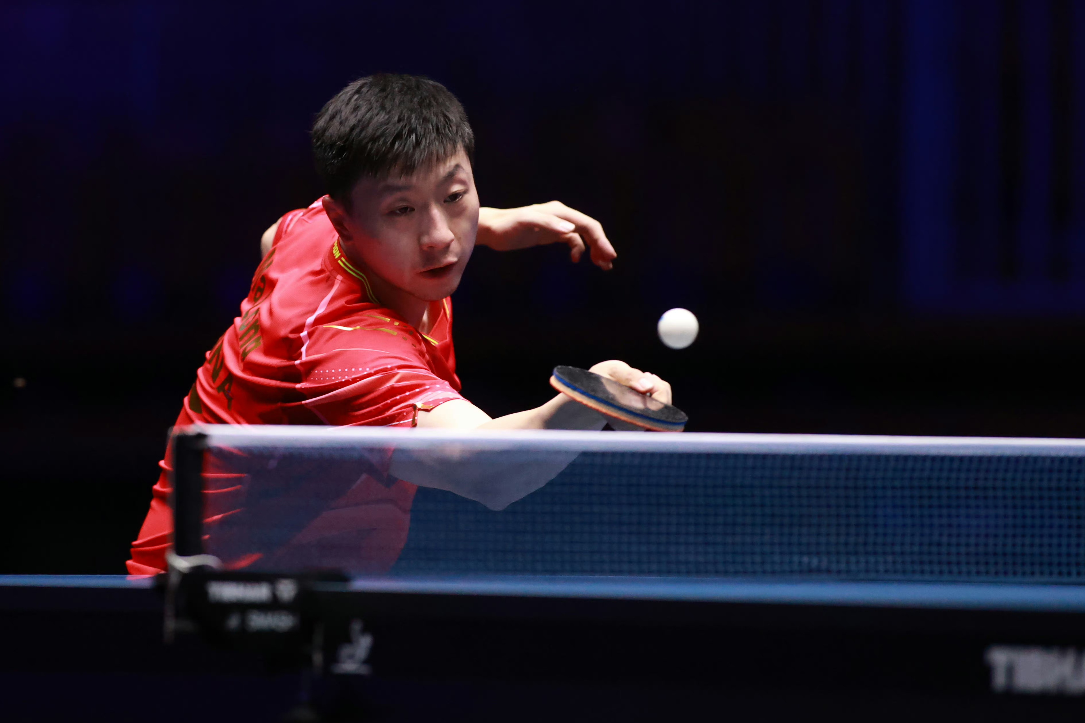 周启豪:赢马龙一次可不容易了 - 封面新闻