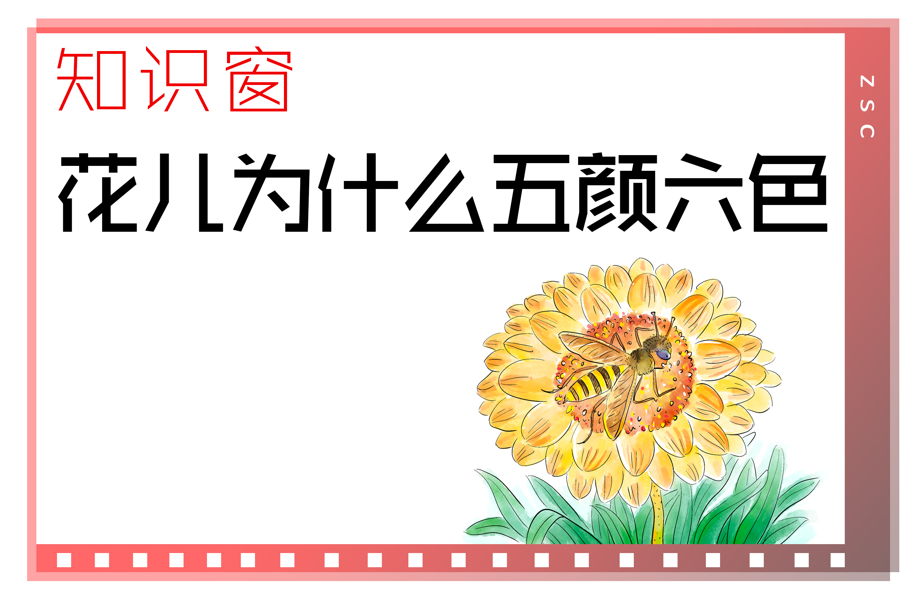 知识窗丨花儿为什么五颜六色？