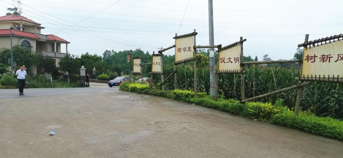 栽竹的地方过去不少是闲置撂荒地,前两年,村民郭辉良返乡后,反租土地