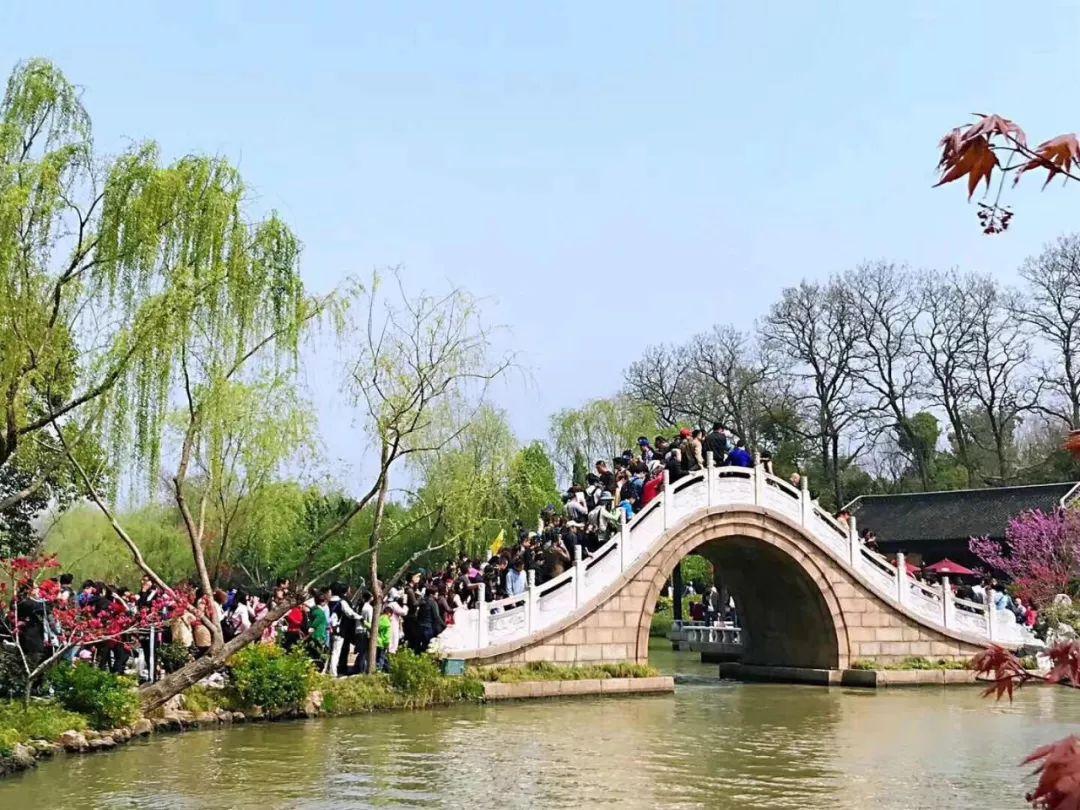 踏青出游 -封面新闻