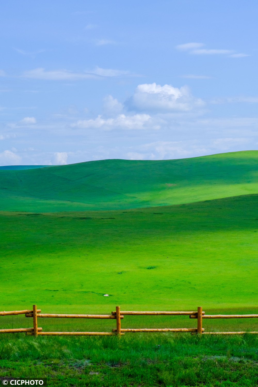 内蒙古呼伦贝尔:夏日草原入画来