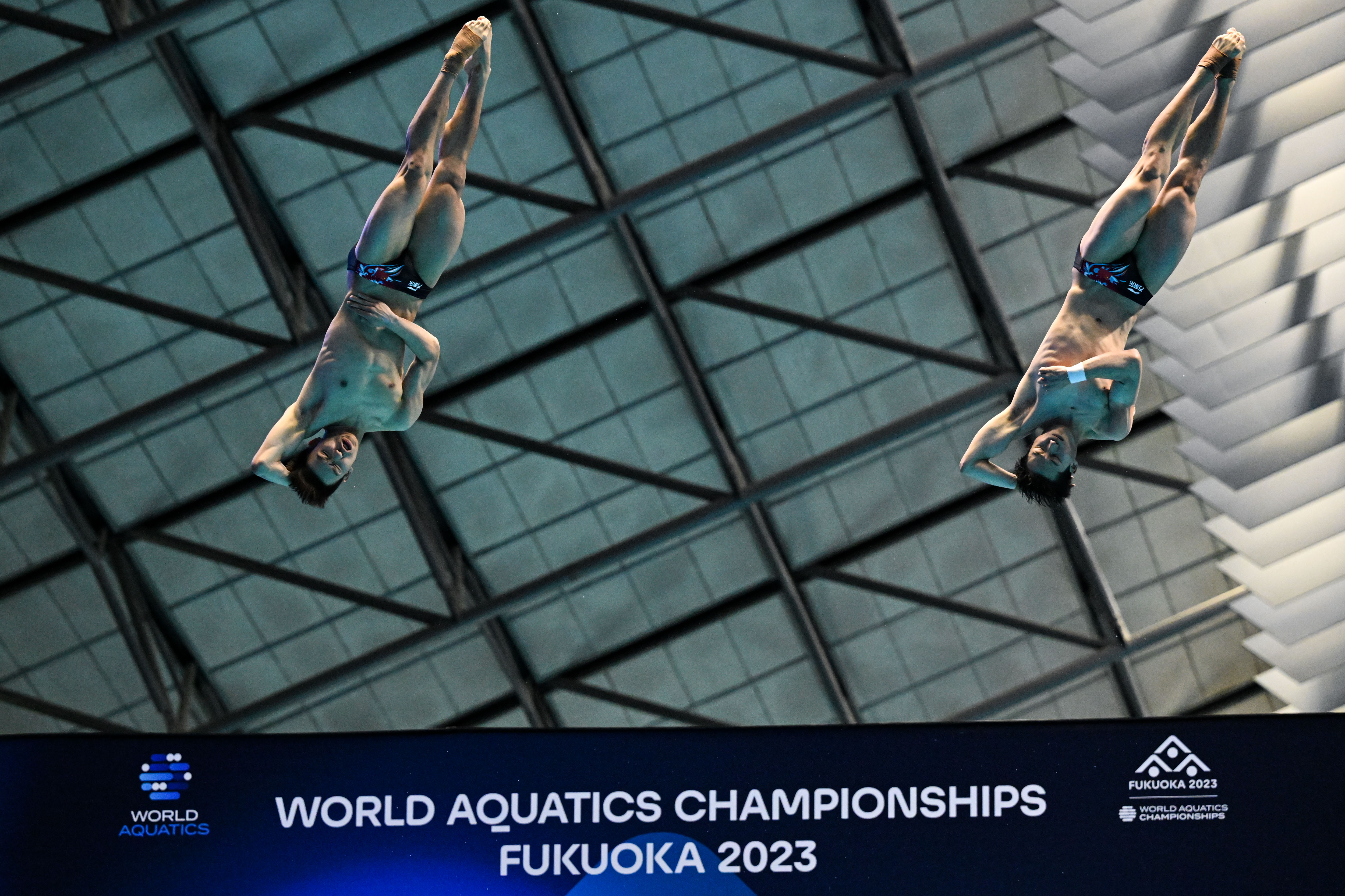 "金牌收割机"启动 中国跳水队福冈世锦赛日进三金 - 封面新闻