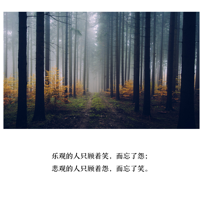 晚安，好运｜随缘不是听天由命 - 封面新闻