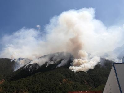 痛悼凉山木里救火英雄 -封面新闻