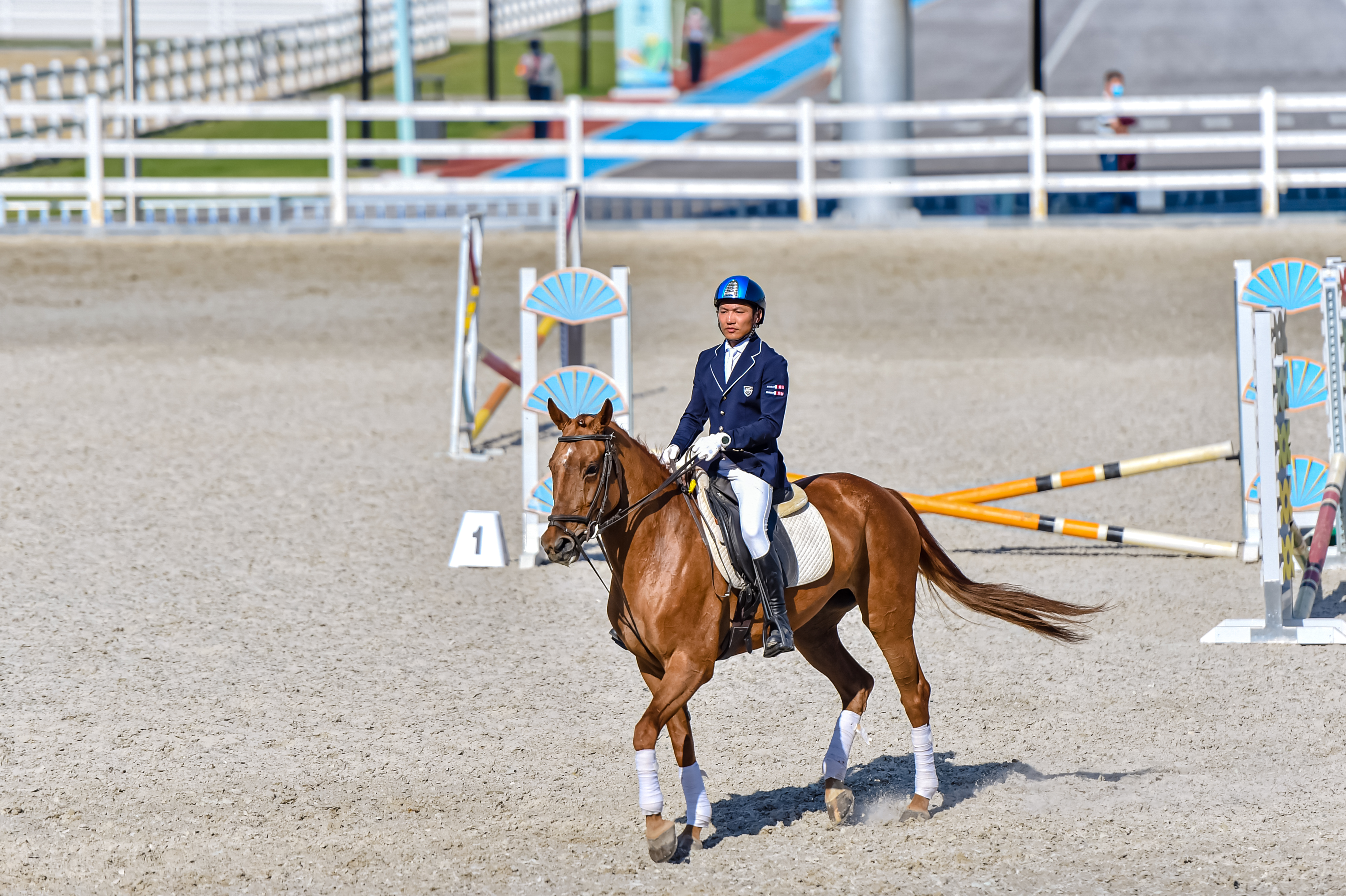 春风得意马蹄疾长安城里满笑意陕西全运会马术赛场赛后利用采访见闻