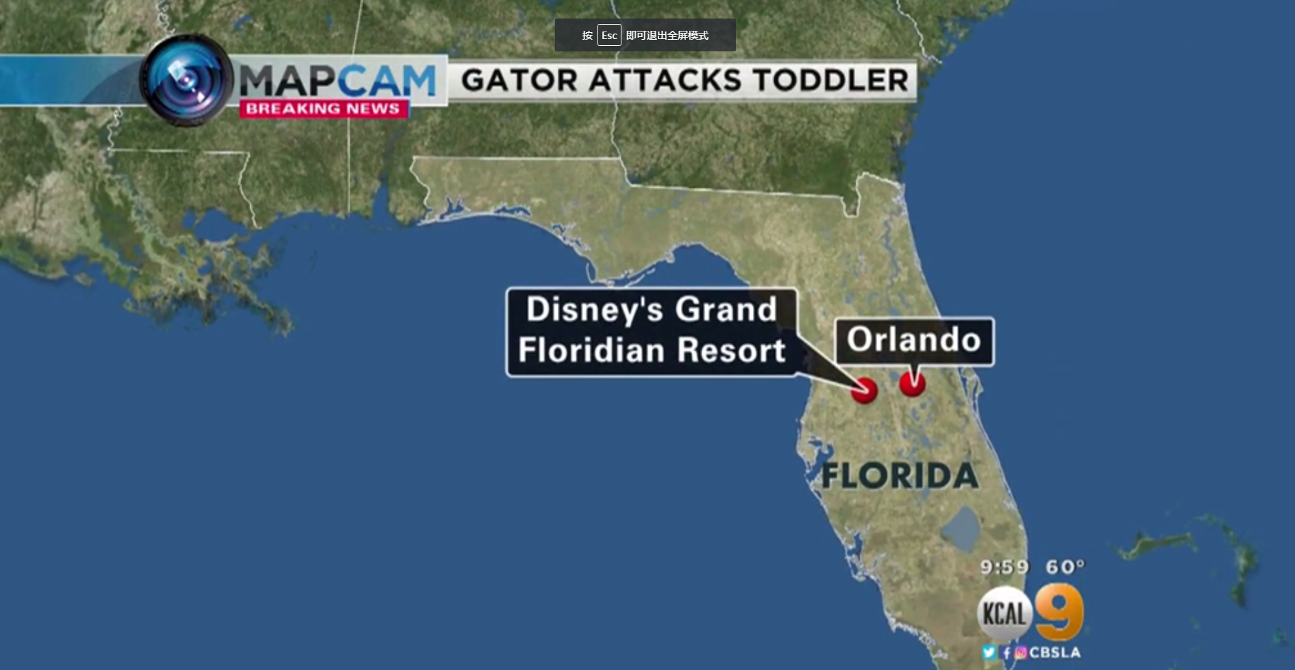 2岁幼童在奥兰多迪士尼被鳄鱼拖进湖里 尸体已被找到 5短吻鳄安乐死