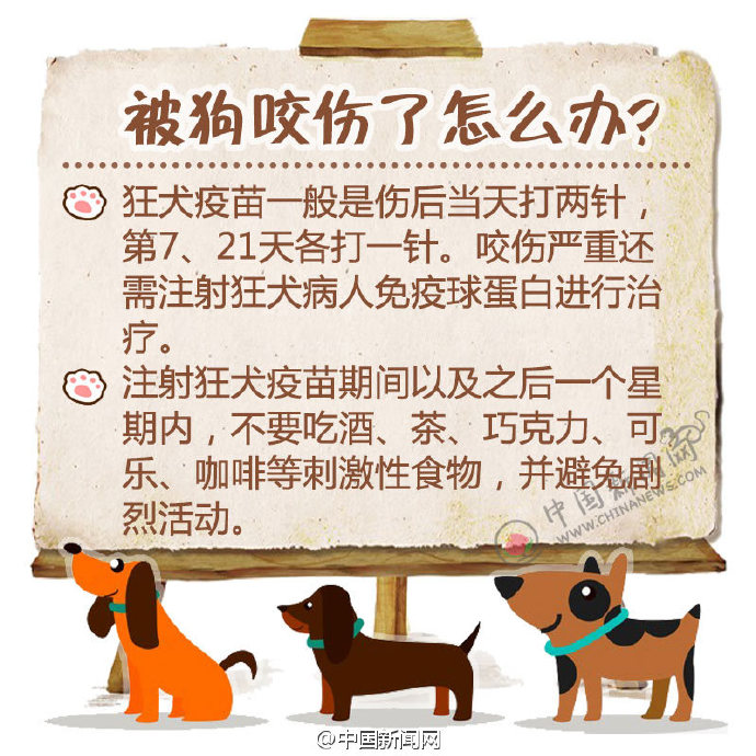 狂犬病的潜伏期及症状