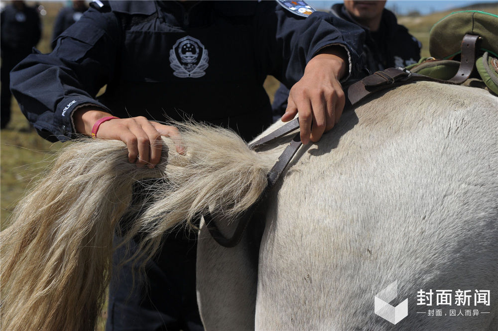 四川草原骑警与马的故事:主人走后战马至死未出马厩