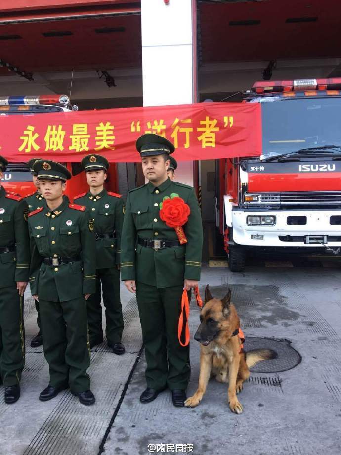 还记得那位牵挂搜救犬的退伍兵吗?他的申请通过了!