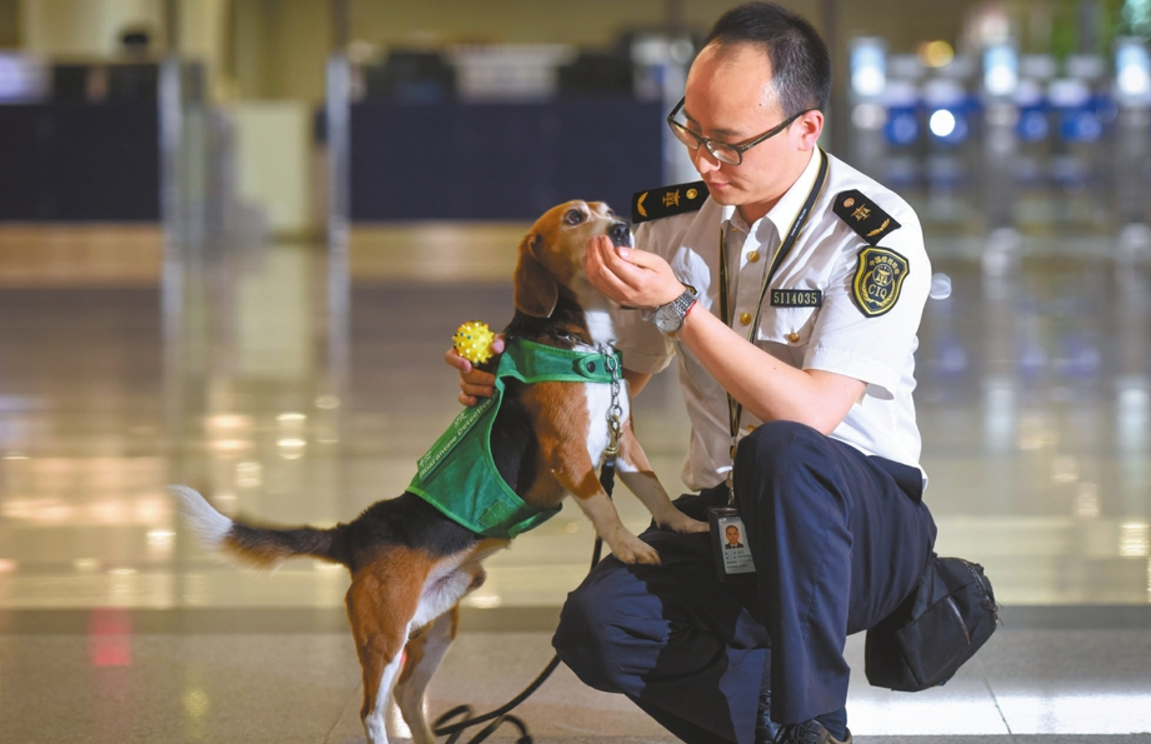 这5年我的获得感这位对狗过敏的铲屎官让检疫犬闻名机场