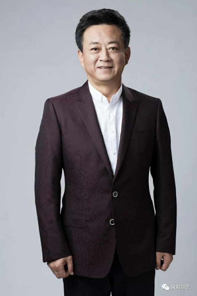 董卿康辉朱军等央视12名主持人 共同演绎大型诗歌mv 《五年抒怀》