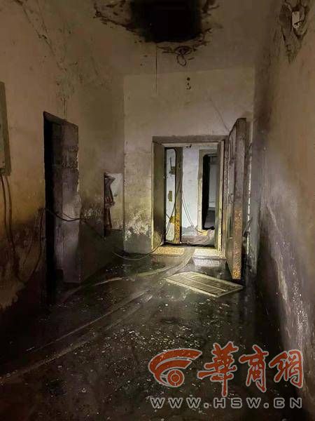 密恐慎点 西安乐居场小区化粪池堵塞致地下室积水蚊虫爬满墙 封面新闻 木瓜辽参网