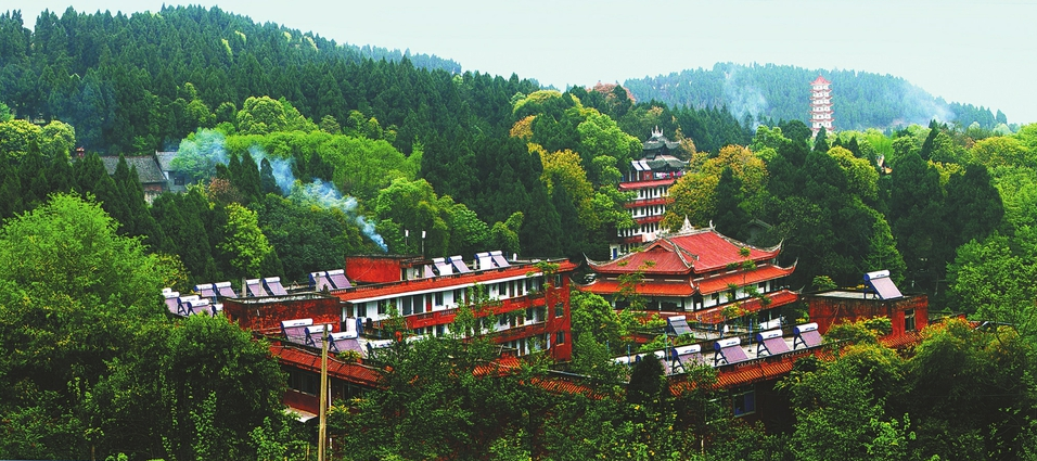 把根留住!乐至"树抱佛"奇观病危 当地紧急联系林业专家救治