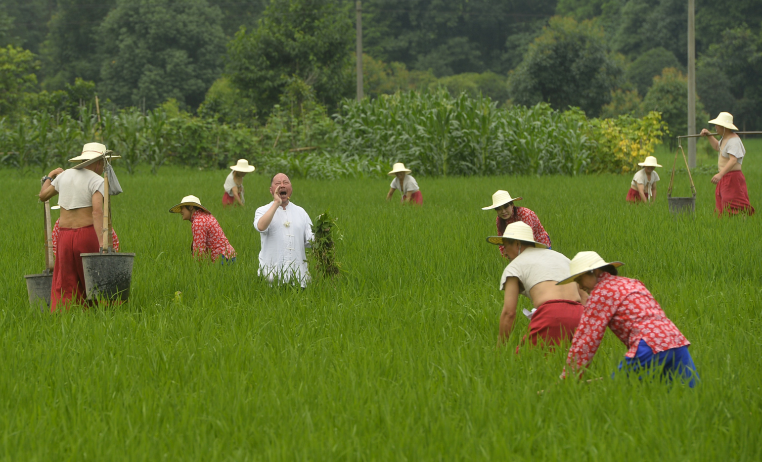 都江堰柳街上演非遗"薅秧歌" 三位鲁奖诗人来采风