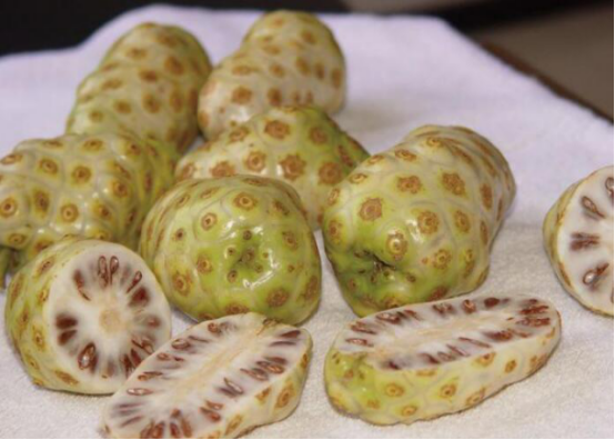 水果界刮起一场审"丑"风 :蒲江丑柑领衔,"十大丑果"惊艳你的味蕾