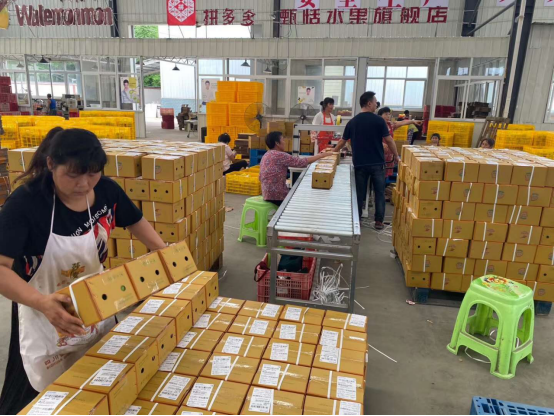 中国邮政牵手拼多多的广安故事开店一年销售额近千万