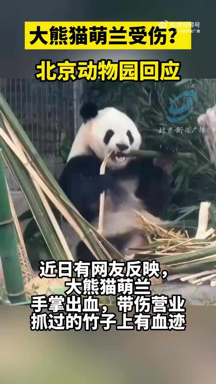 和兽设的日常生活- 是阿力不是熊猫- 全本免费阅读- 话本小说网