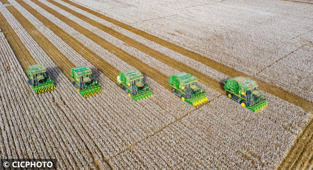 新疆尉犁百万亩棉田喜获丰收