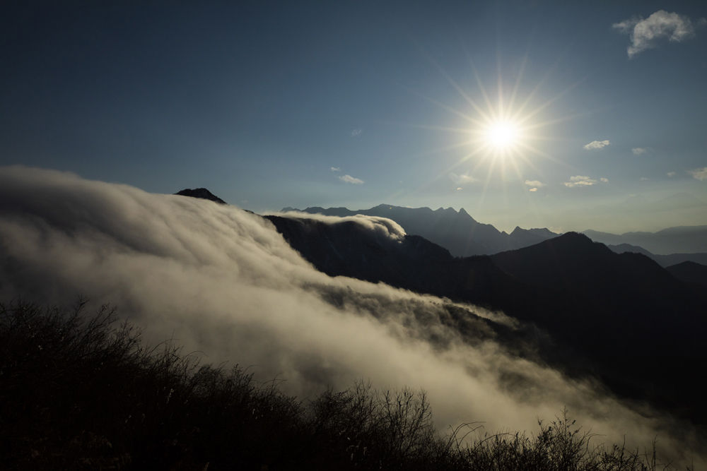 奇峰云海入画来