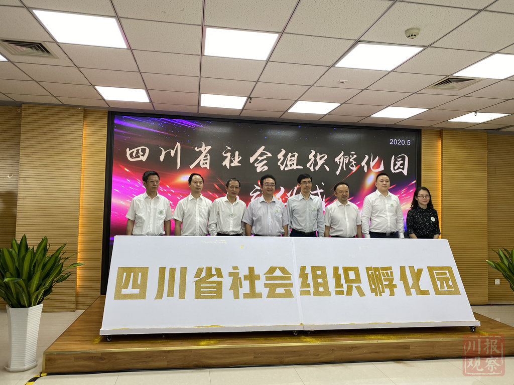 社会组织能力建设