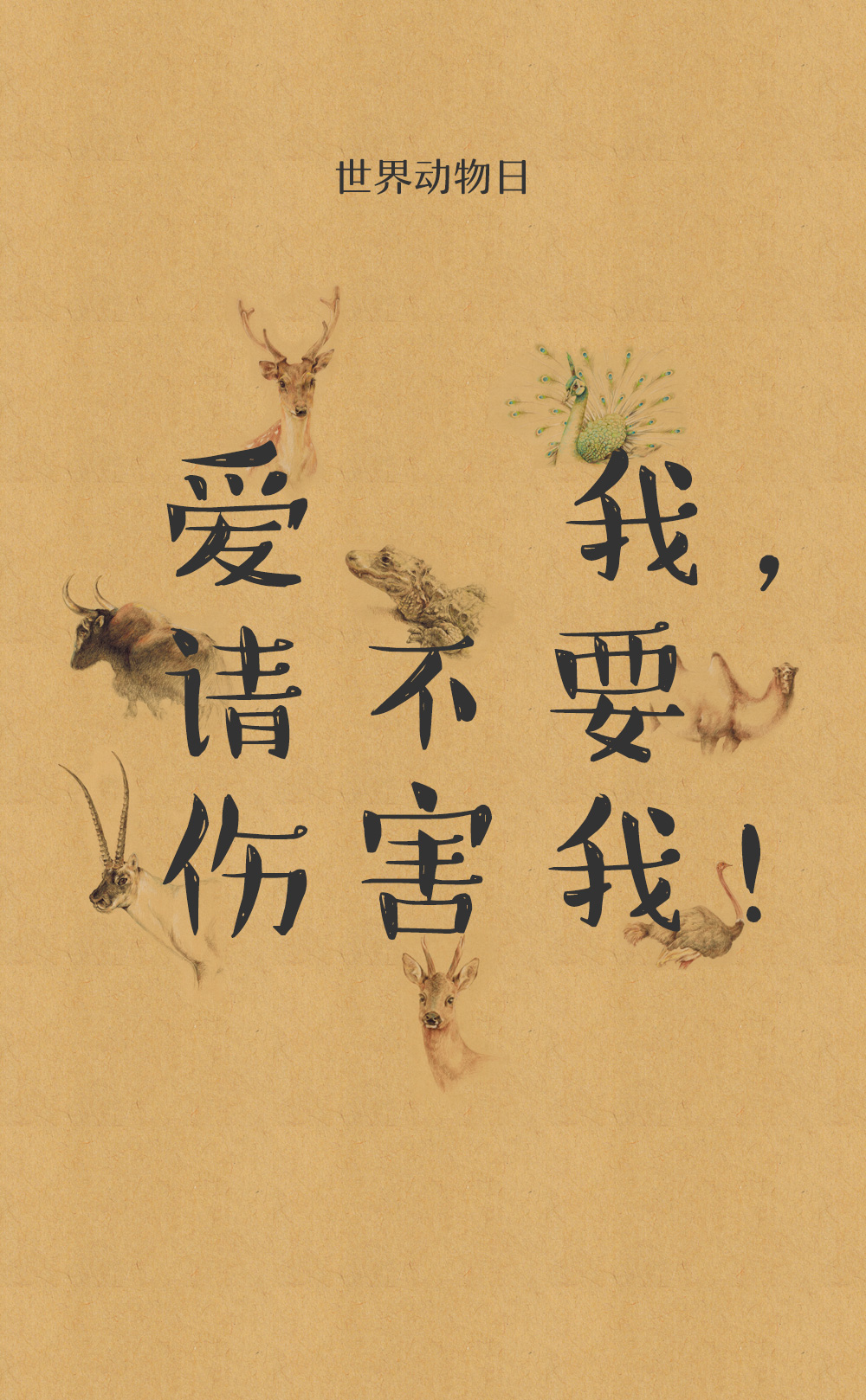 爱我请别伤害我