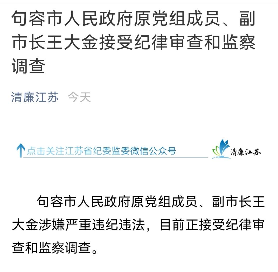 江苏省句容市人民政府原党组成员,副市长王大金接受纪