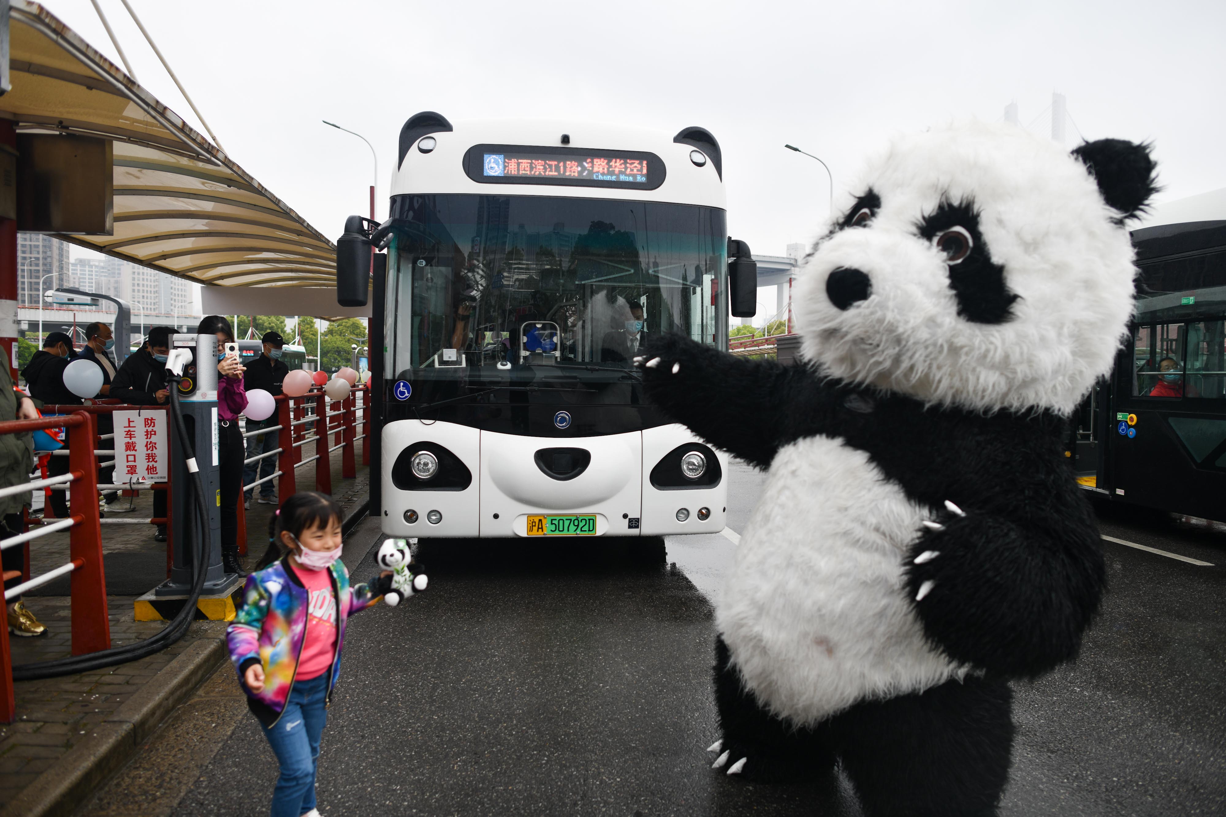 熊猫巴士景区直达，让你的都江堰之行更in、更便捷！_成都