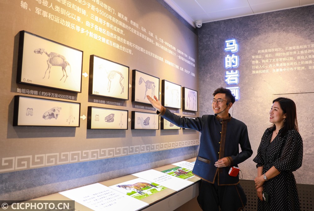 内蒙古马文化艺术展在呼和浩特开展