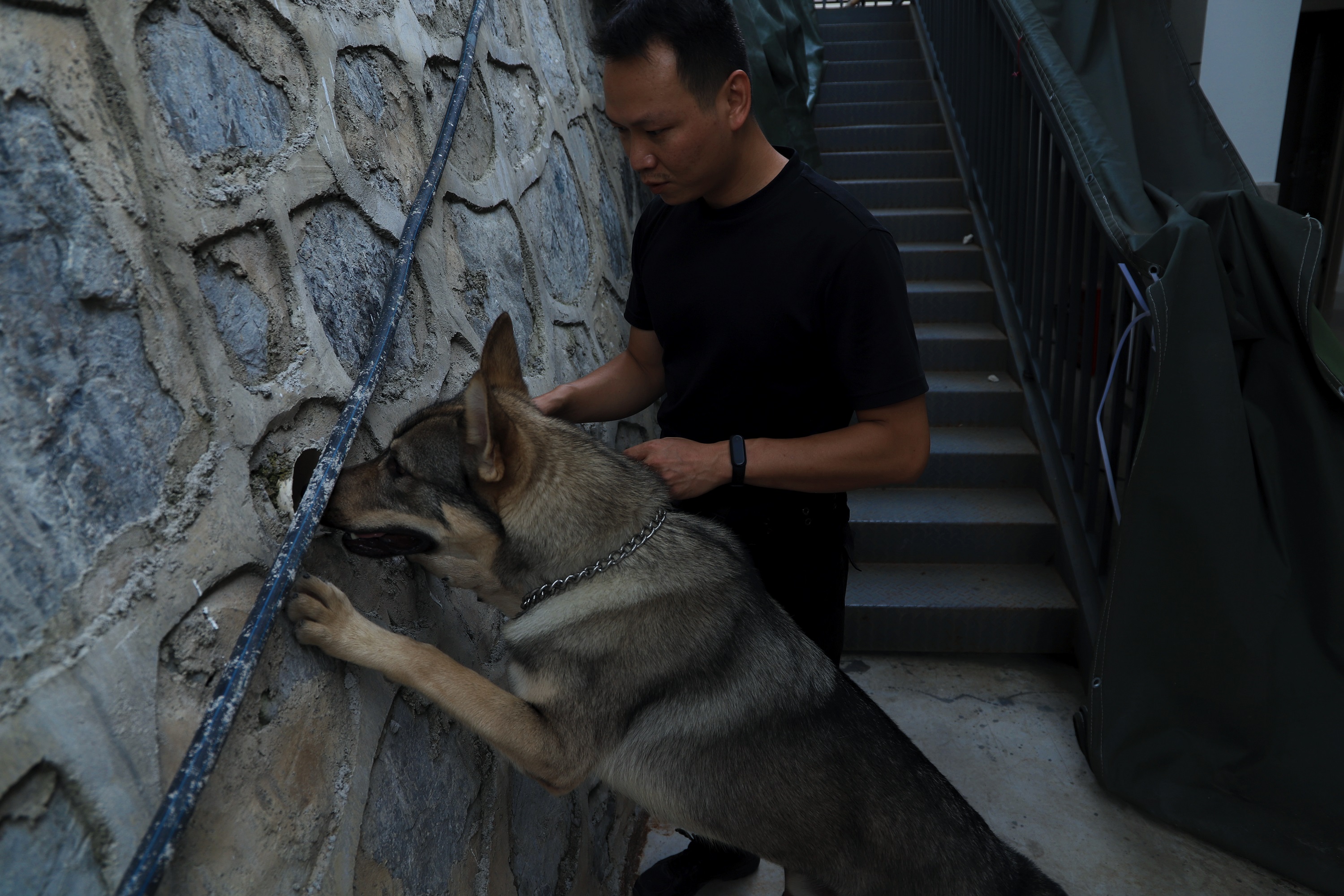 新华全媒丨云南警犬飓风立新功嗅出毒品超过体重