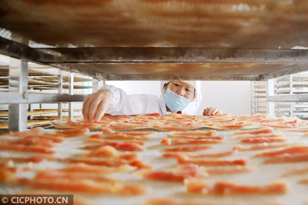 山东青岛:宠物食品生产忙