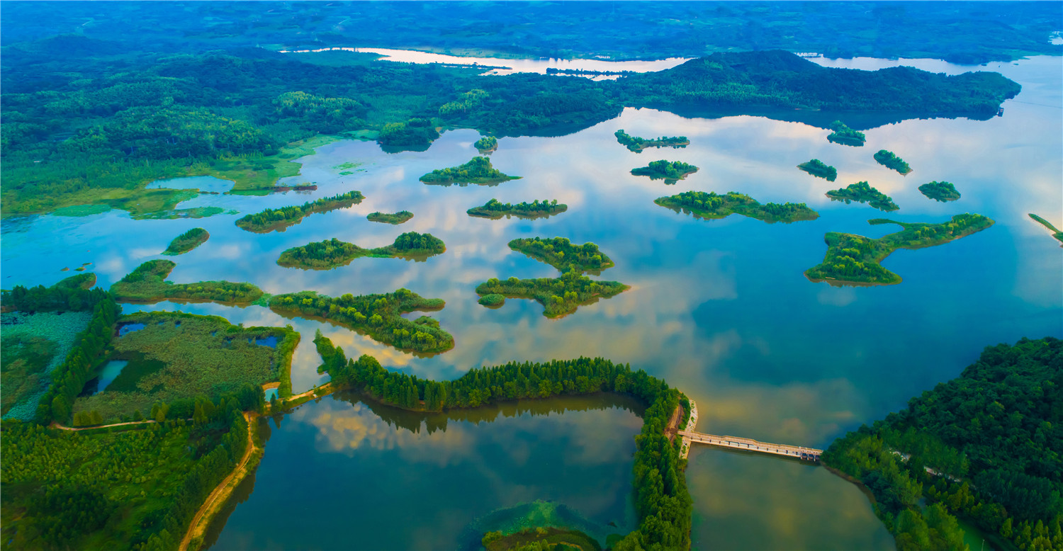 绿色复苏疫情之年的中国经济