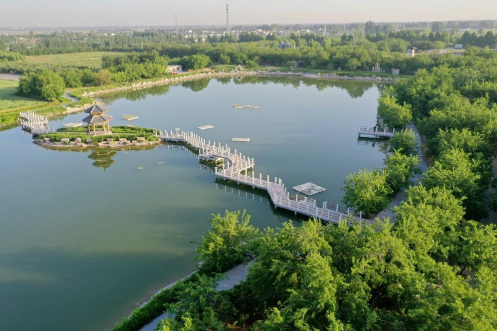 山东夏津擦亮桑名片