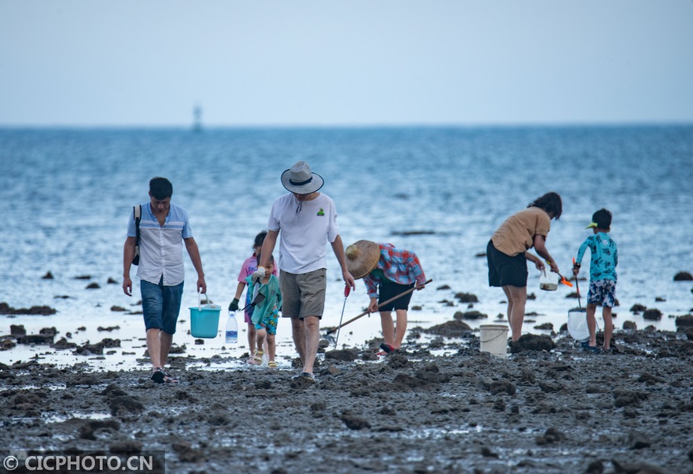 2021年8月8日,海南省琼海市民和游人在潭门港海滨赶海拾贝.