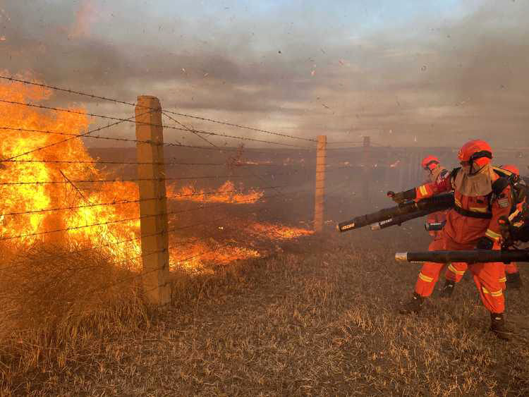 内蒙古成功堵截蒙古国入境草原火