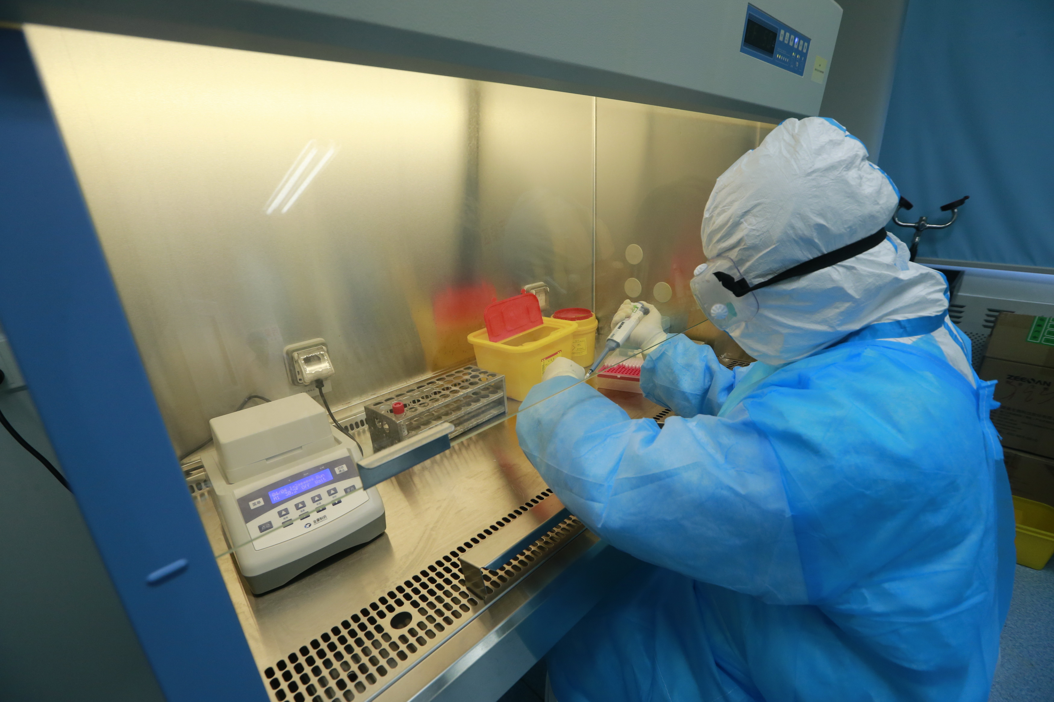 2月12日,四川省遂宁市疾控中心检验科检验师彭优在进行新型冠状病毒