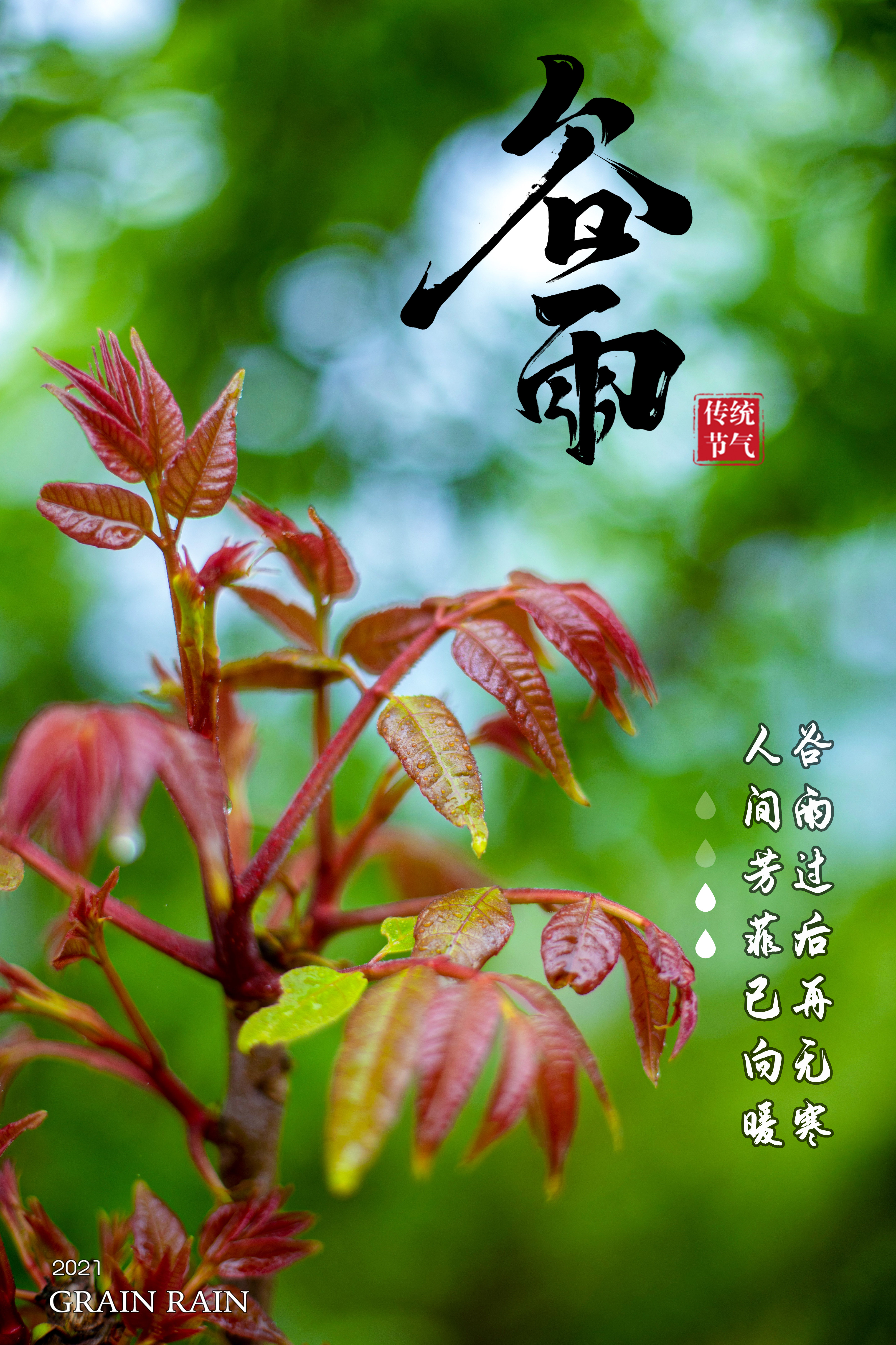 报节气雨生百谷