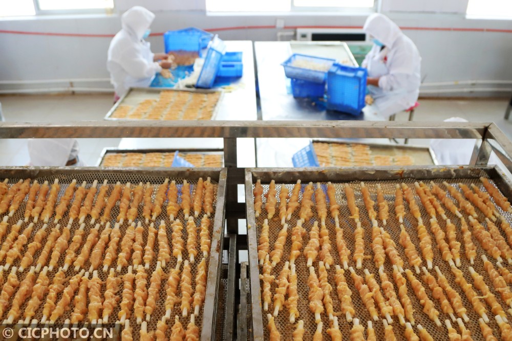 工人在山东省青岛西海岸新区大场镇一家宠物食品企业车间加工出口宠物