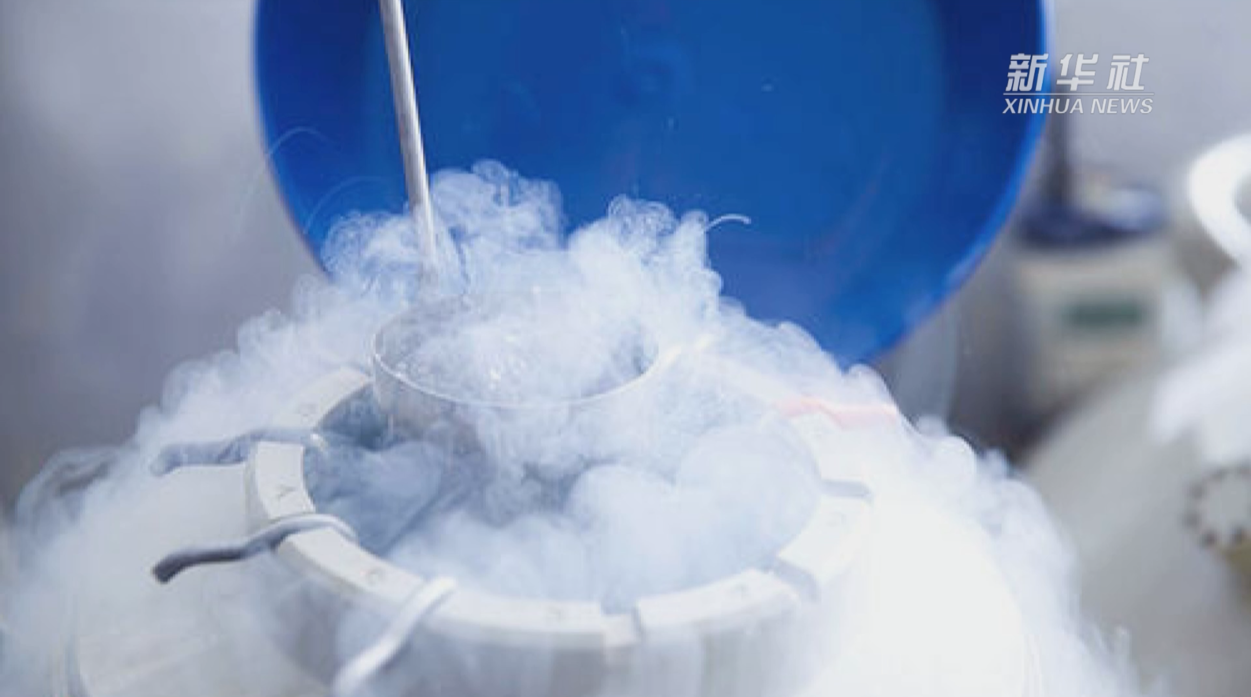 热点快追代孕违法冷冻卵子为何在我国有限开放来听律师解读